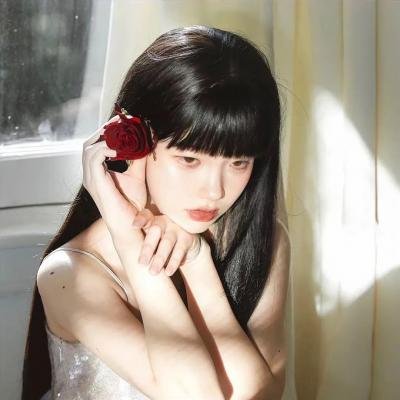宫本武藏 一乘寺决斗